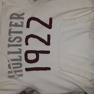 HOLLISTER hoodie